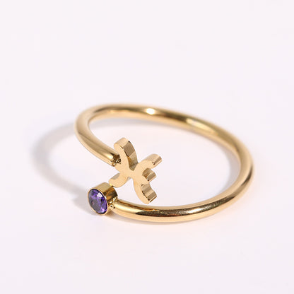 Zodiac Stainless Steel Ring with Birthstone