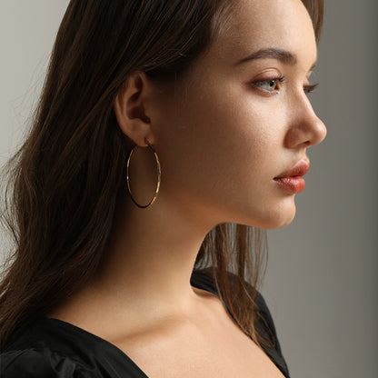 Big Hoop 14k Gold Plated In Serling Silver  Big Hoop Earrings For Woman